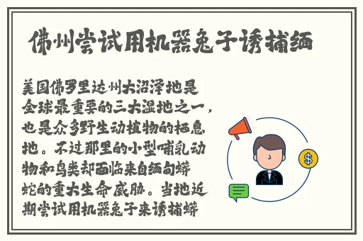 小扫货水能么多叫出来公交车